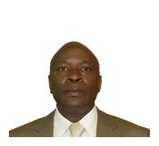 Mr S P Zulu Chief Executive Officer